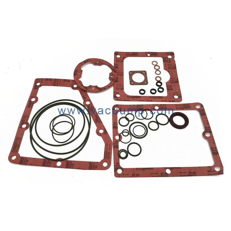 SV200/300 Gasket Kit Repair parts Kit o-rings For Leybold Vacuum pump