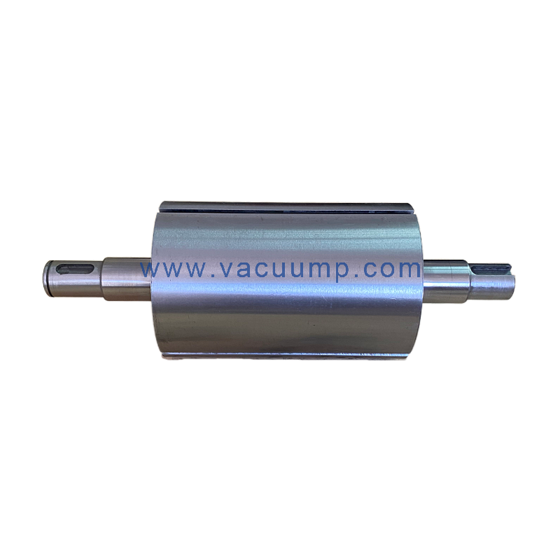 RA0063 PN/0210108662 Roter Repair kit parts for BUSCH vacuum pump