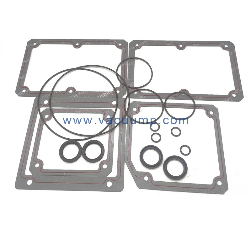 RA0250/RA0302D Seal Kit Gasket O-rings Service parts Kit for BUSCH vacuum pump