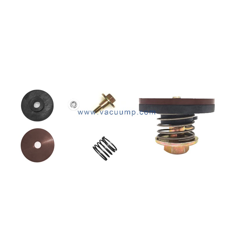 RA0063/0100F Exhaust valve PN/0916000696 repair kit vacuum pump parts For BUSCH