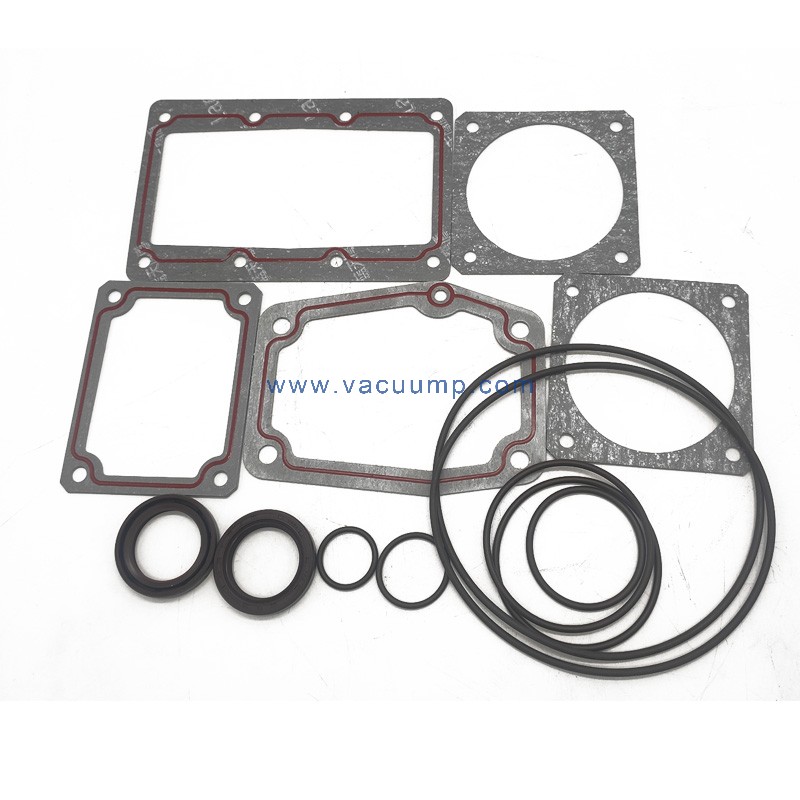 RA0063/0100F Seal Kit Repair Parts O-rings Gasket Kit for BUSCH vacuum pump