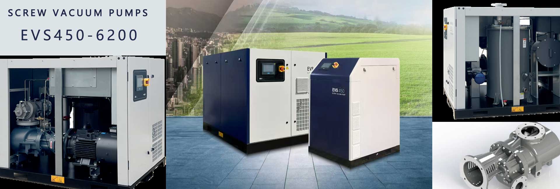 Screw vacuum pump
